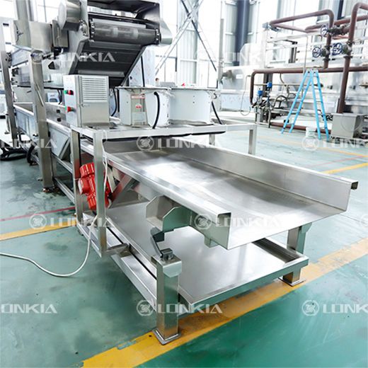 Potato Chips Production Line