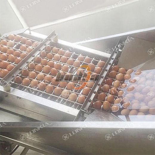 Automatic Egg Peeling Machine