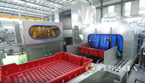 Basket Washing Belt Automation