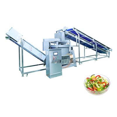 Rotary Dryer