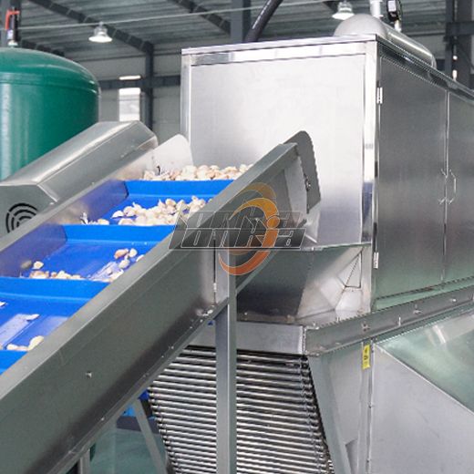 Garlic Peeling Machine