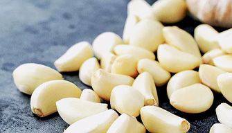 Garlic