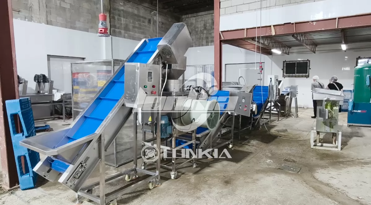 Garlic Processing Line