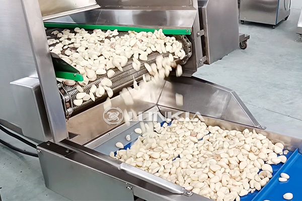 1000kg/H Automatic Garlic Peeling Machine Processing Line: Enhance Efficiency and Productivity