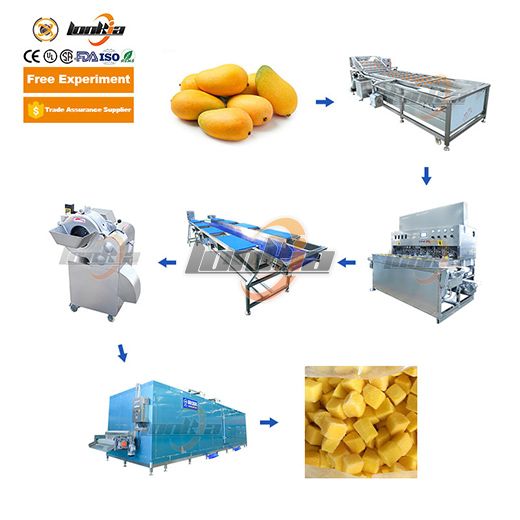 Frozen Mango Processing Line