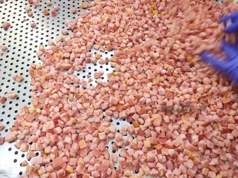Frozen Tomato Processing Line