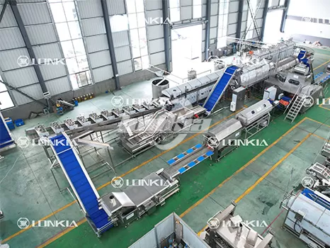 French Fry Making Machine Maintenance Tips to Ensure Long-Term Performance