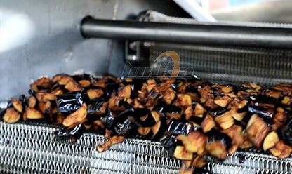 Continuous Fryer Machine Video