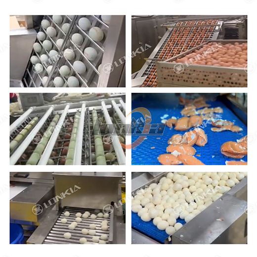 Automatic Egg Peeling Machine
