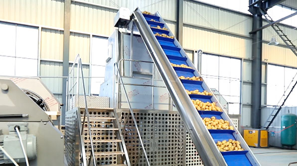 Steam Peeling Machine Video