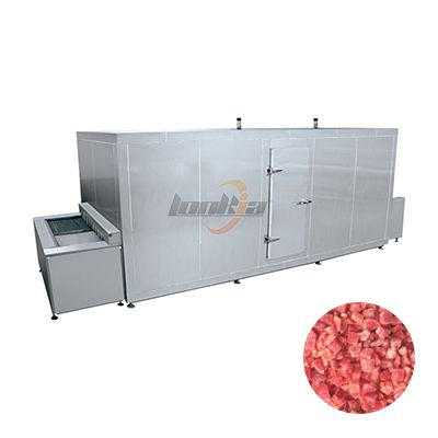 IQF (Individual Quick Freezing) Machine