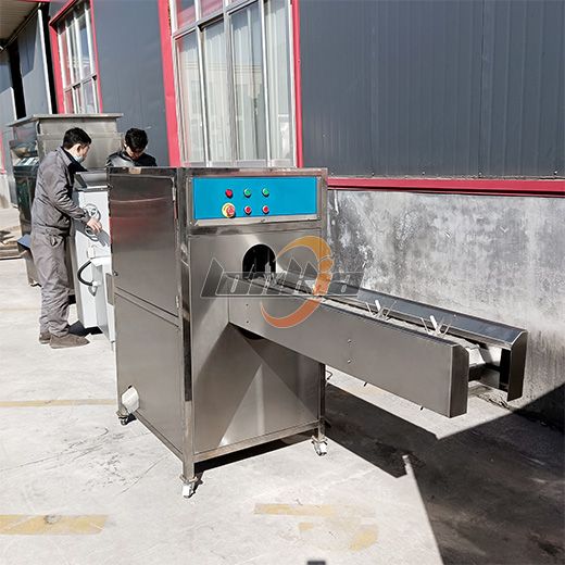 Onion Root Cutting Machine