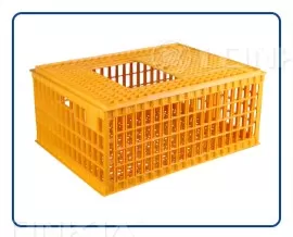 Chicken Cage 