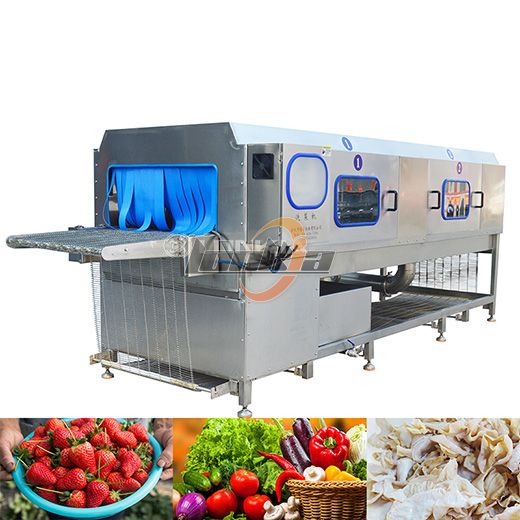 Fruit Vegetable Tunnel Washer