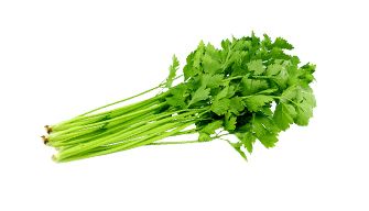 Celery