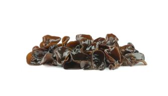 Fungus