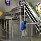 Quick frozen