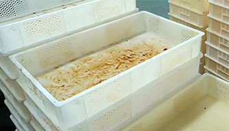 Plastic Crate