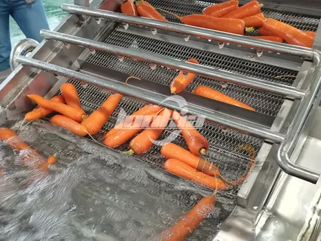 Carrot Processing Lines vs. Standalone Machines: Which Is Right for You?