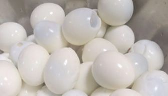 Egg