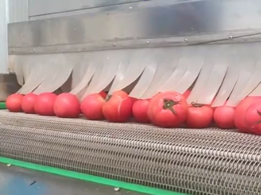 Frozen Tomato Processing Line