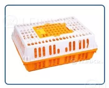 Chicken Cage 