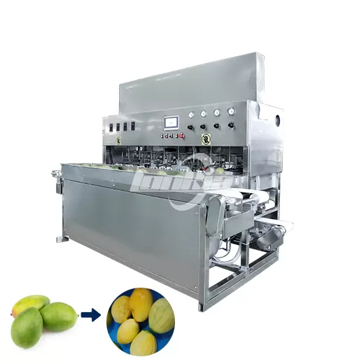 Frozen Mango Processing Line