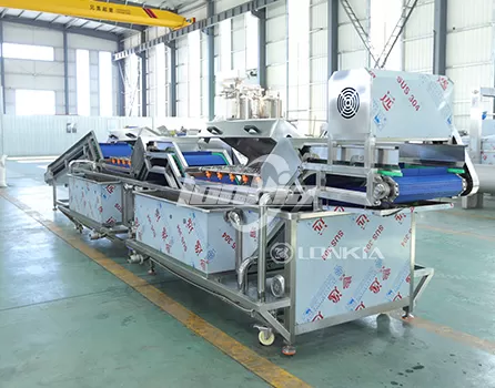 How to Choose the Right Veg Washing Machine for Your Production Line