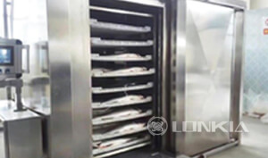More Frozen Cases