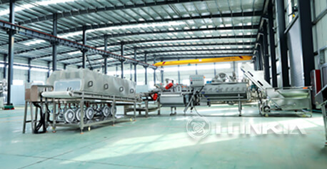 Frozen Fruit Processing Solution