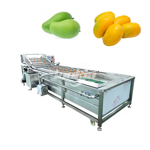 Frozen Mango Processing Line
