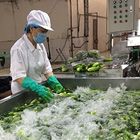 Cucumber Washing