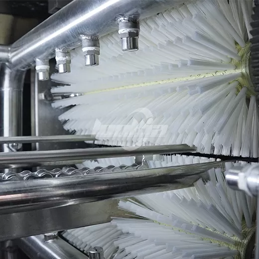 Egg Tray Washer