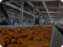 Agricultural processing facilities