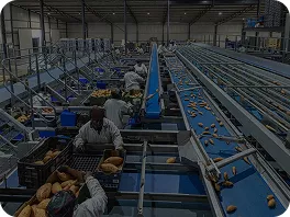 Catering distribution centers