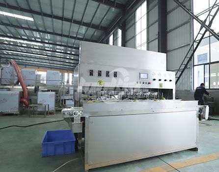 Fruit peeling machine