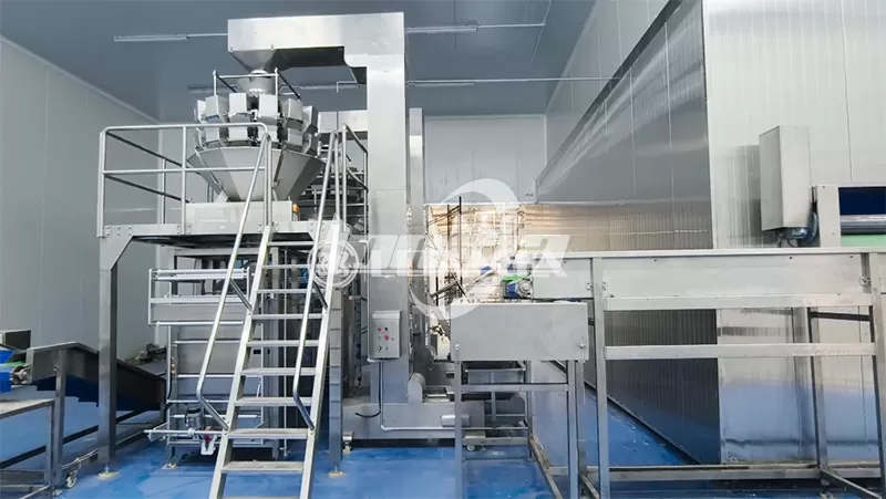 Automatic Potato Sorting and Grading Line2