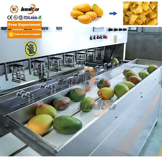 Frozen Mango Processing Line