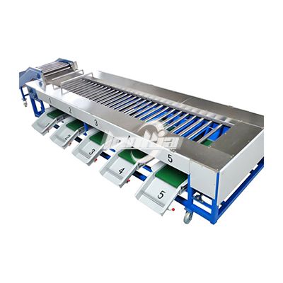 Onion Grading Machine