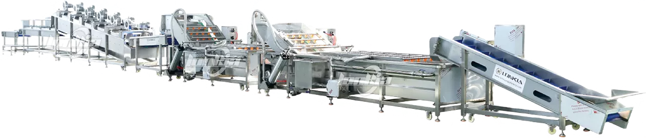 Industrial Fruit & Vegetable Washing Processing Line & Equipment