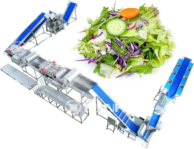 Industrial Salad Processing Line for Fresh Cut Vegetable Production