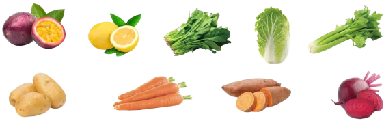 Industrial Fruit & Vegetable Washing Processing Line Materials