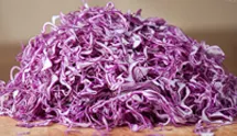 Purple cabbage
