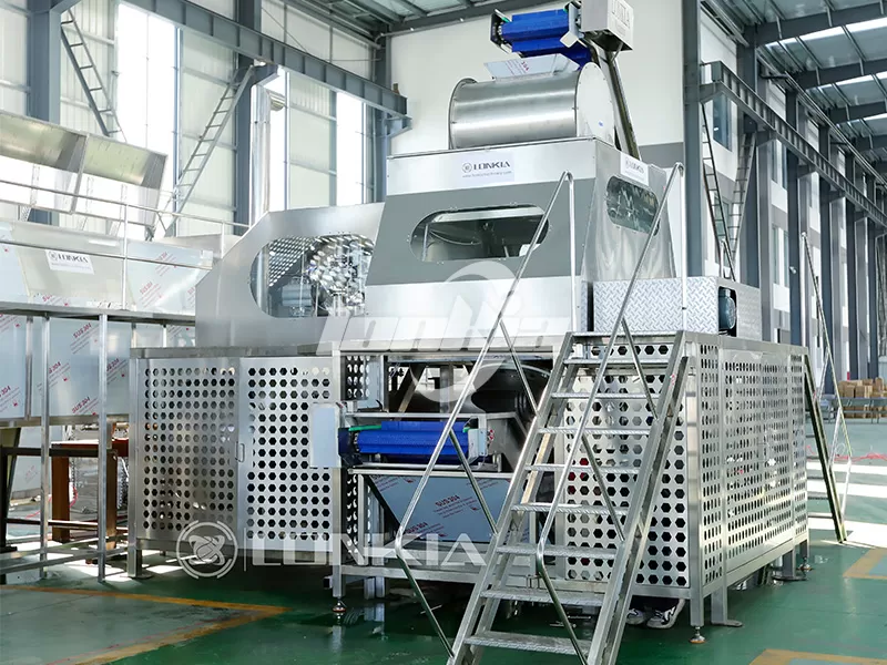 Fruit and Vegetable Peeler: What Determines the Actual Processing Capacity?