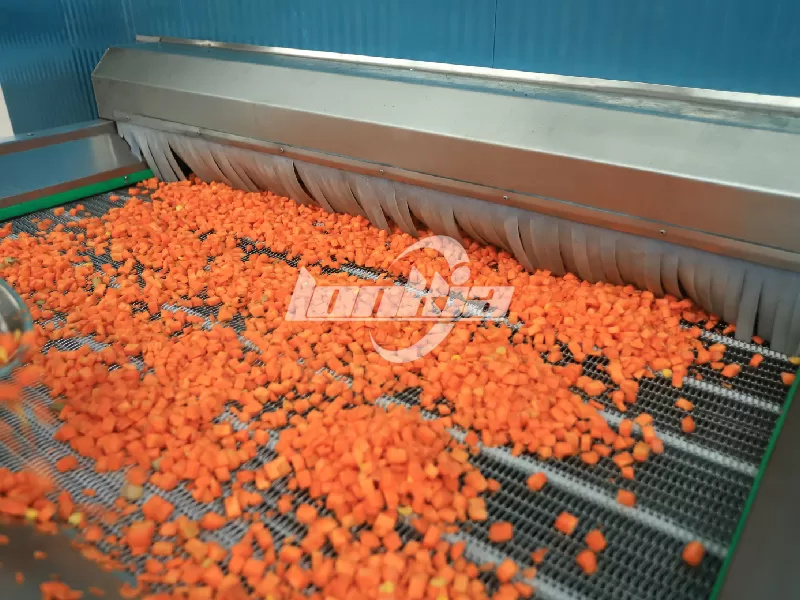 Individual Quick Freezing vs. Blast Freezing: Which Is Better for Your Food Business?