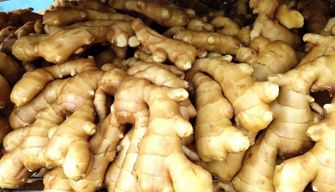 Ginger