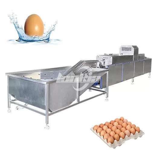 Automatic Egg Washing Line