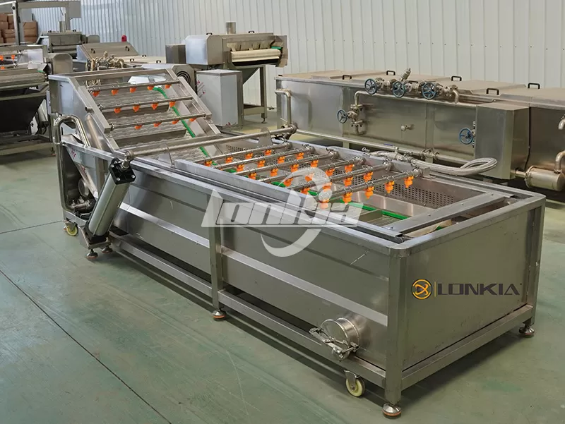 Blueberry Cleaning Equipment