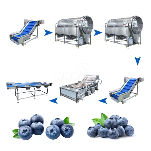Blueberry Destemming and Washing Line