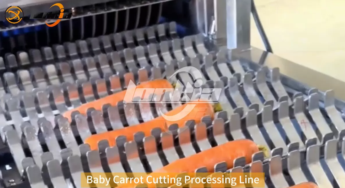 Turnkey Carrot Processing Equipment: From Washing to Packaging Explained